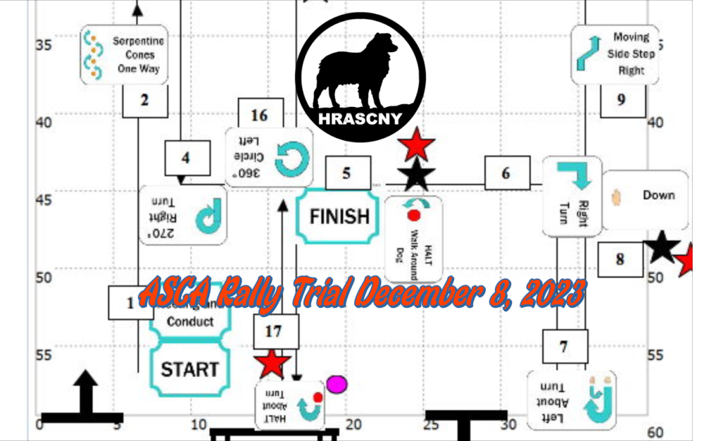 ASCA Rally Trial December 8, 2023 – Hudson River Australian Shepherd ...